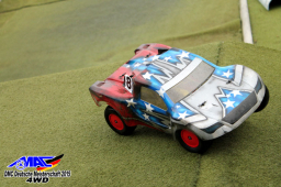 2015 DM 4WD Buggy 4WD Juni